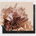 Kookio Inductie beschermer - Gedroogde chrysant