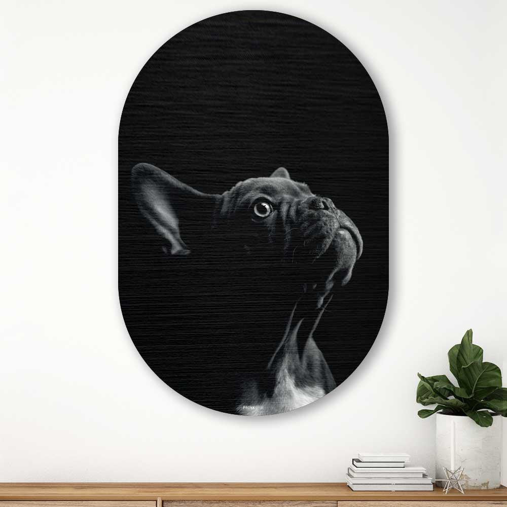 Kookio® Luxe Aluminium Muurovaal - Stijlvolle Wanddecoratie | Franse bulldog