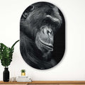 Kookio® Luxe Aluminium Muurovaal - Stijlvolle Wanddecoratie | Chimpansee