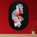 Kookio® Luxe Aluminium Muurovaal - Stijlvolle Wanddecoratie | Betta vis