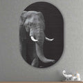 Kookio® Luxe Aluminium Muurovaal - Stijlvolle Wanddecoratie | Afrikaanse olifant