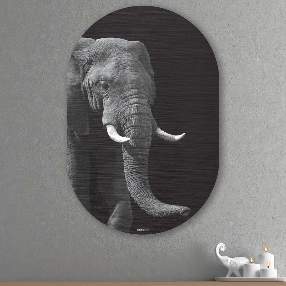 Kookio® Luxe Aluminium Muurovaal - Stijlvolle Wanddecoratie | Afrikaanse olifant