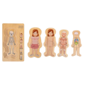 MAMAMEMO® Houten Lagenpuzzel Mijn Lichaam - Meisje (5 Lagen) - bij Brightstore.nl
