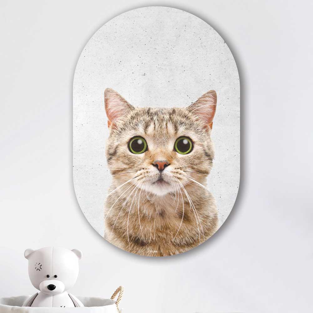 Kookio® Luxe Aluminium Muurovaal - Stijlvolle Wanddecoratie | Funny Cat beton